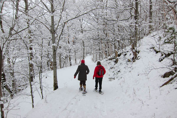 Réjean Aucoin - Chéticamp, Nouvelle-Écosse